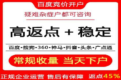 百度SEO推广公司案例：如何快速提升网站排名